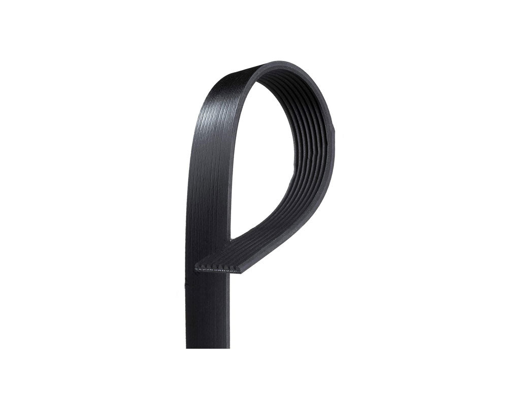 Alliance Serpentine Belt | # ABP N01 8K562